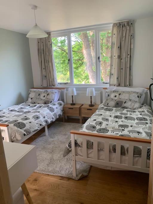 Cottage With Outstanding Views Velindre  Exteriör bild